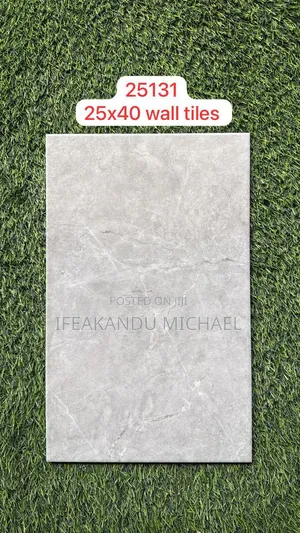 Toilet Wall Tiles