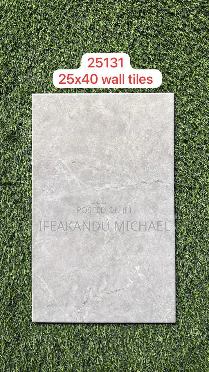 Toilet Wall Tiles