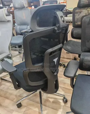Ergonomic Mesh Office Chair