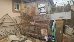 Chicken Cage
