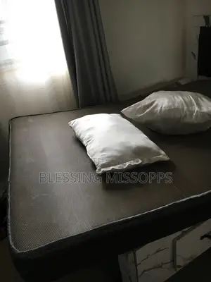 6 by 4 Mattress and Pillow