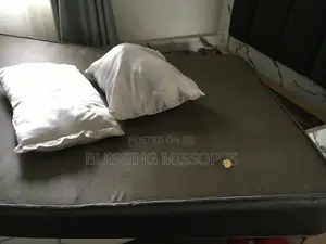 6 by 4 Mattress and Pillow