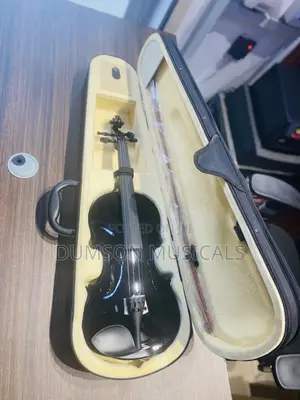 Black Acoustic Violin 🎻