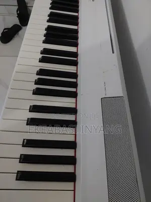Buy Your Digital Piano P-105