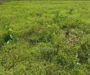 Land for Sell