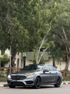 Mercedes-Benz C43 2017 Gray