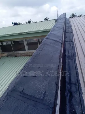 Locked in Roof Waterproofing Expert