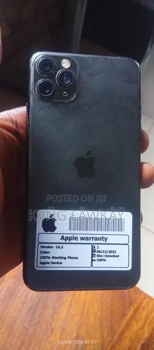 Apple iPhone 11 Pro Max 64 GB Gray