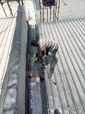 Lore Drop Roof Waterproofing Expert