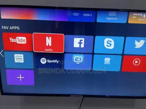 Television