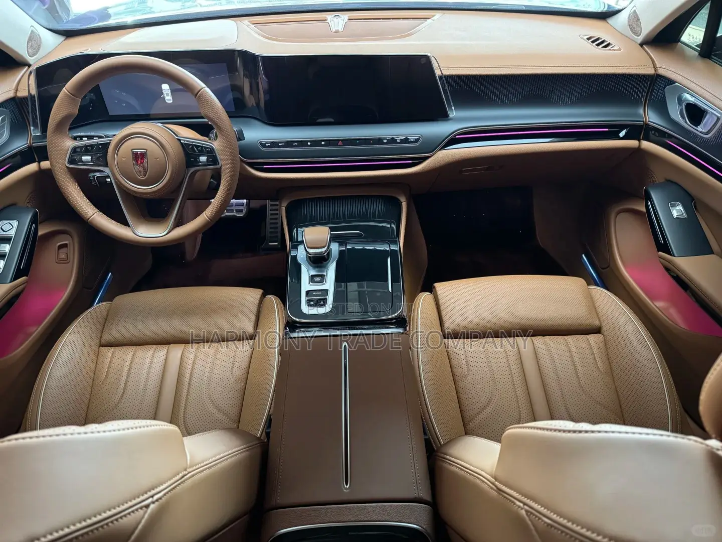 Hongqi E-HS9 2025 Black