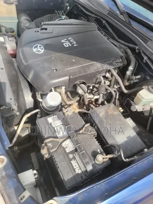 Toyota Tacoma 2007 Blue