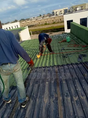 Pareidola Roof Waterproofing Expert