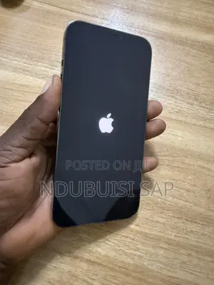 Apple iPhone 12 Pro Max 256 GB Gray