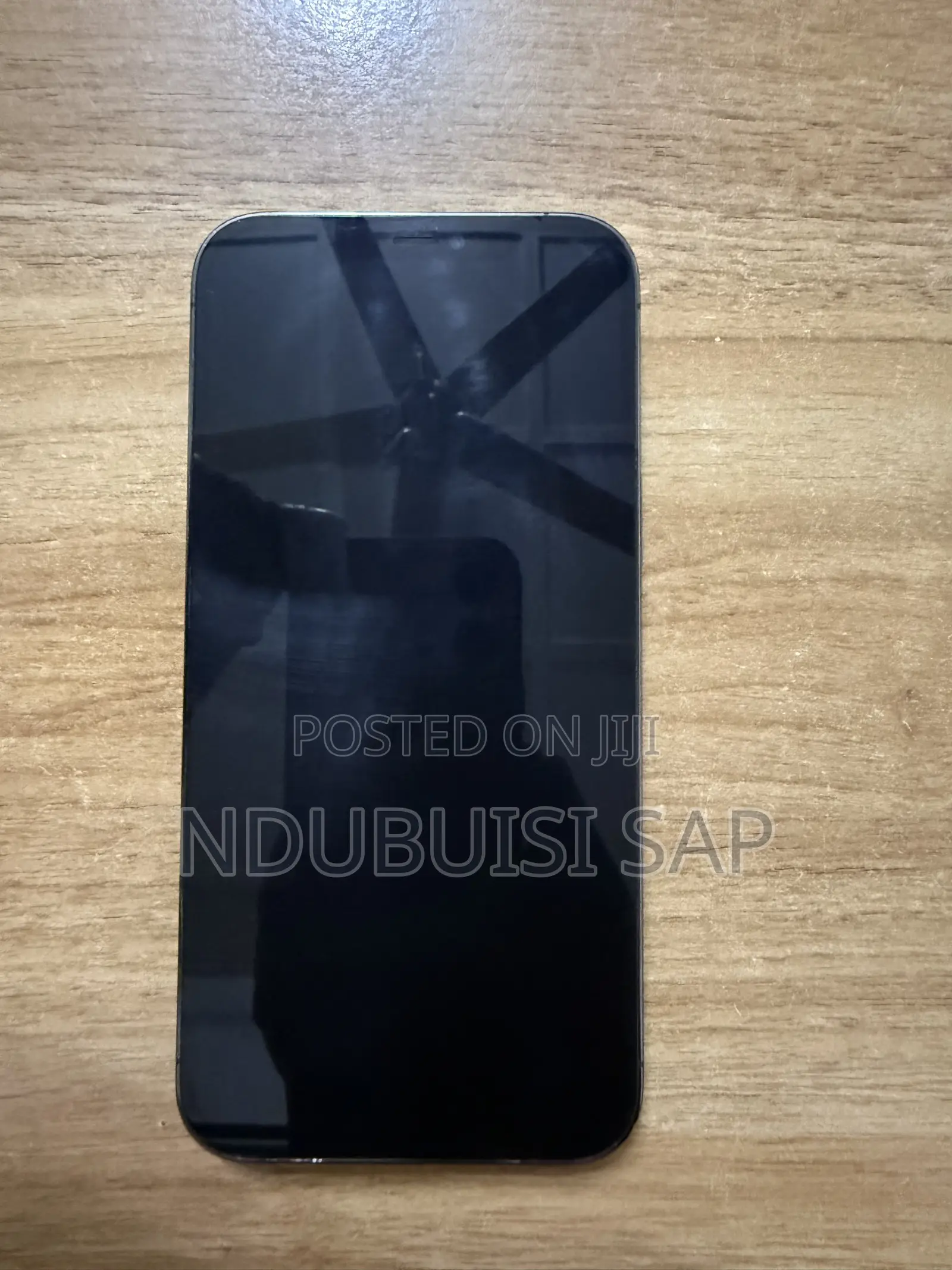 Apple iPhone 12 Pro Max 256 GB Gray