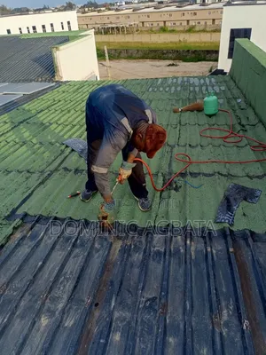 Clinomania Roof Waterproofing Expert