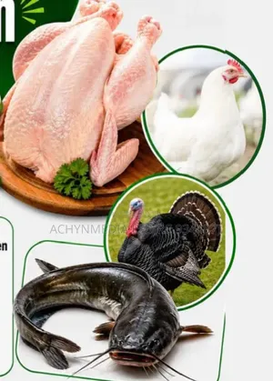 Life Chicken Direct From Farm