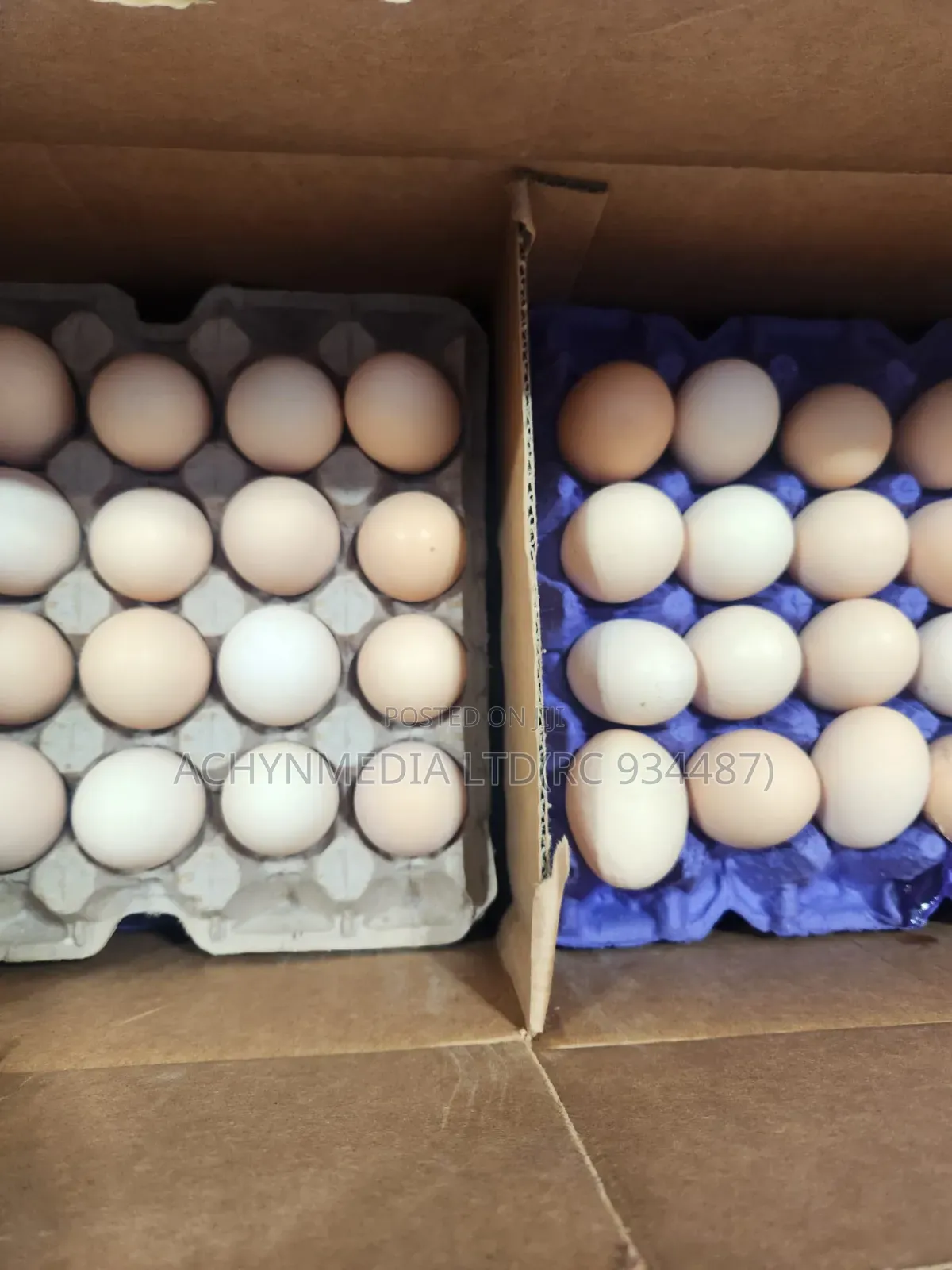 Life Chicken Direct From Farm