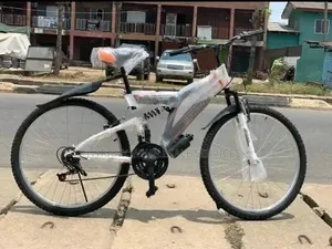 Big Bicycle, Strong Adult Bicycle