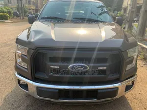 Ford F-150 2015 Gray