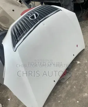 Bonnet and Fenders for Rx 330 2005