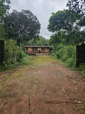 Fenced Land in Isuofia, Aguata