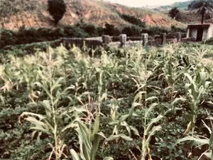 Plot of Land for Sale