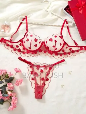 Lace Bra Set
