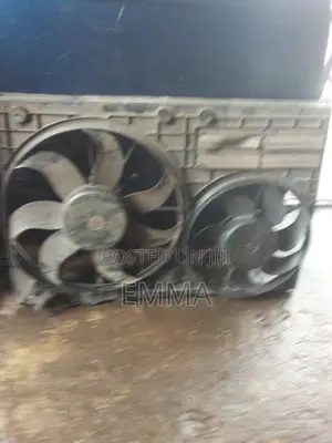 Passat Fan