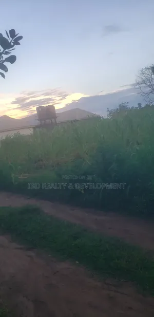 Two Plot of Land