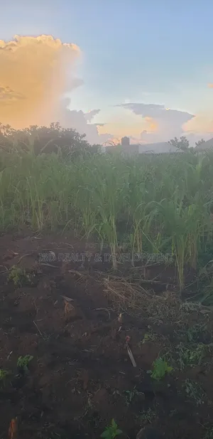 Two Plot of Land