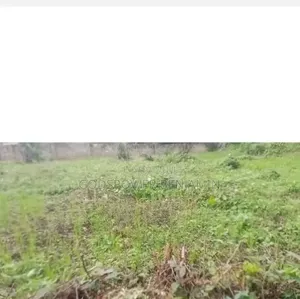3.5 Plot of Land Property for Sale in Ibafo