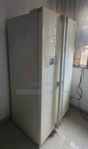 Standing Double Door Freezer