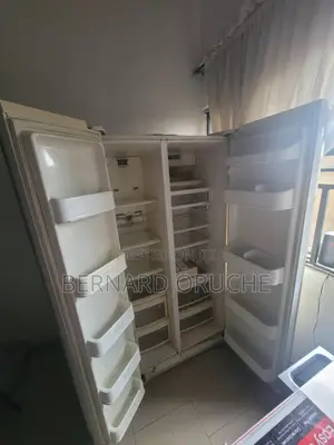 Standing Double Door Freezer