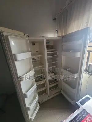 Standing Double Door Freezer