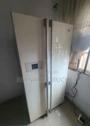 Standing Double Door Freezer