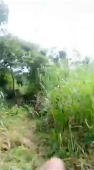Hot Sale, 10 Acres of Land for Sale