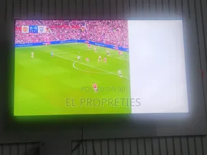 65" Samsung TV (Screen Need to Be Fixed)