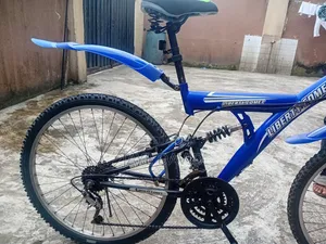 Very Clean Mountain Bicycle at Giveaway Price