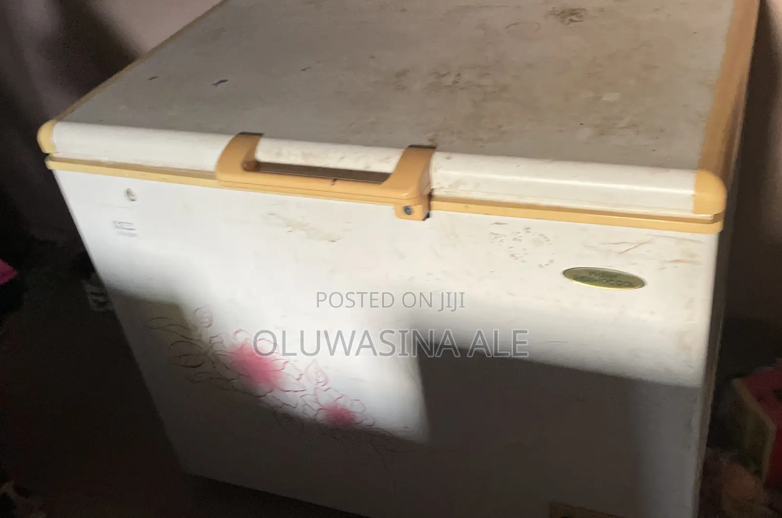 HTF-319H Haier Thermocool Freezer
