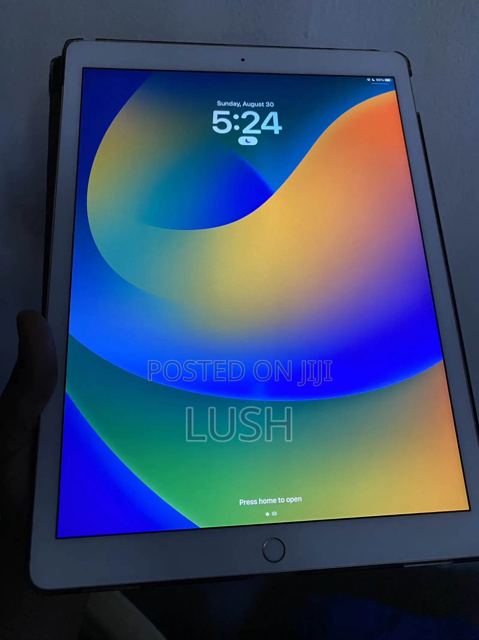 Apple iPad Pro 12.9  (2015) 256 GB