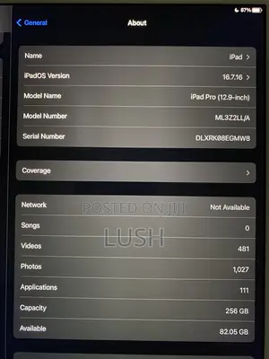 Apple iPad Pro 12.9  (2015) 256 GB