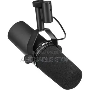 Shure SM7b