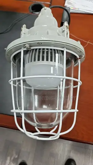 Explosion-Proof Pendant Light Fixture With Wire Guard