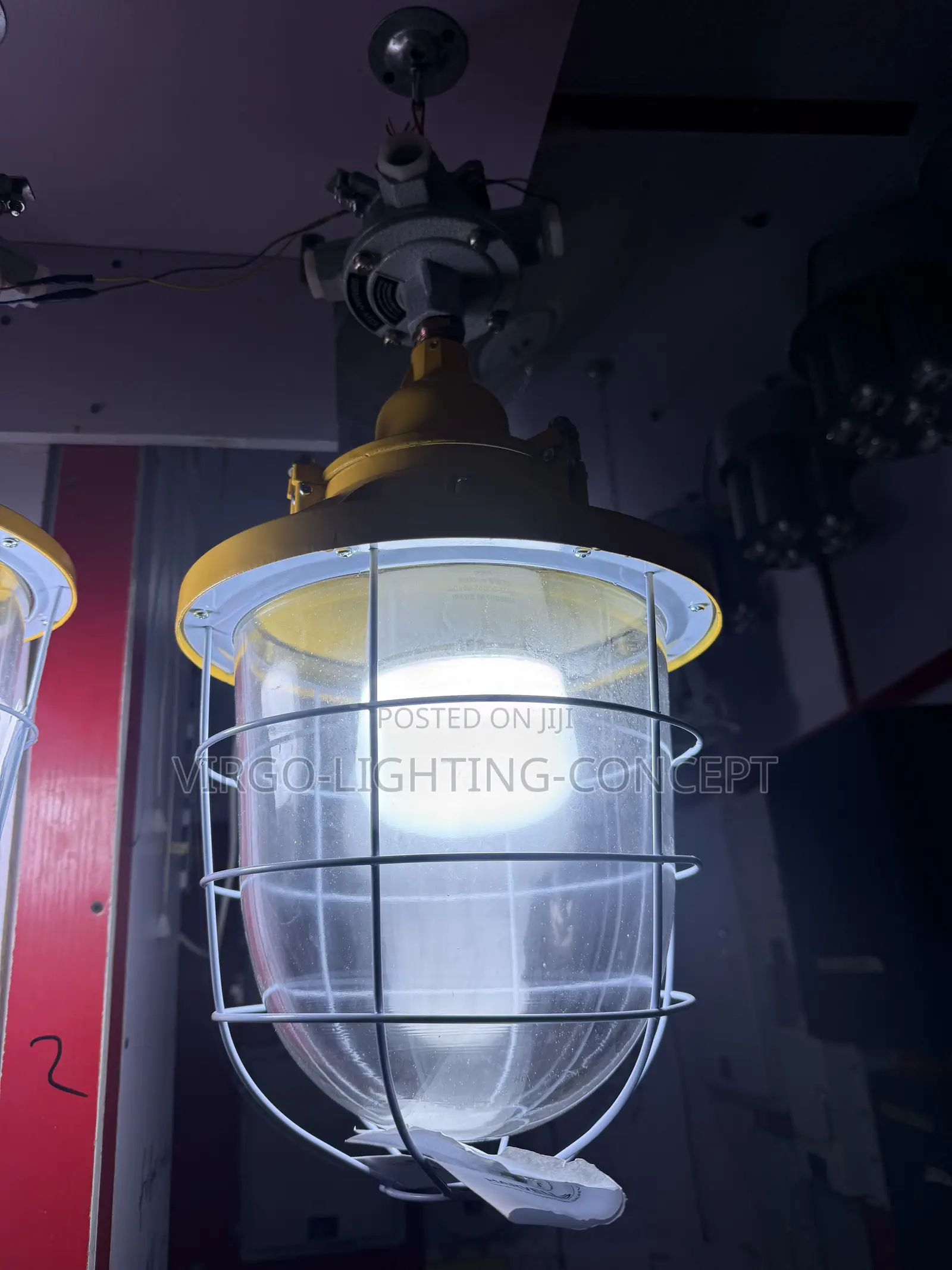 Explosion-Proof Pendant Light Fixture With Wire Guard