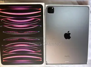 Apple iPad Pro 11 (2022) 128 GB Gray