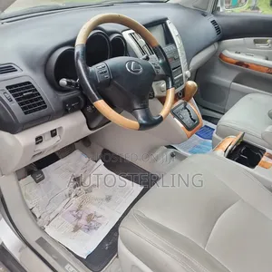 Lexus RX 2009 Silver