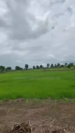 Affordable Farmland for Sale in Ifite-Ogwari, Anambra- ₦1.9M Per Plot