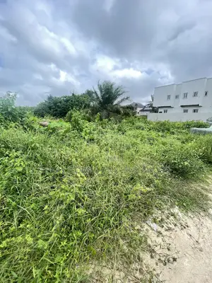 300 SQM of Land Available for Sale in Ajayi Apata Sangotedo