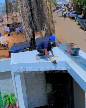 Professional Cleaning Services